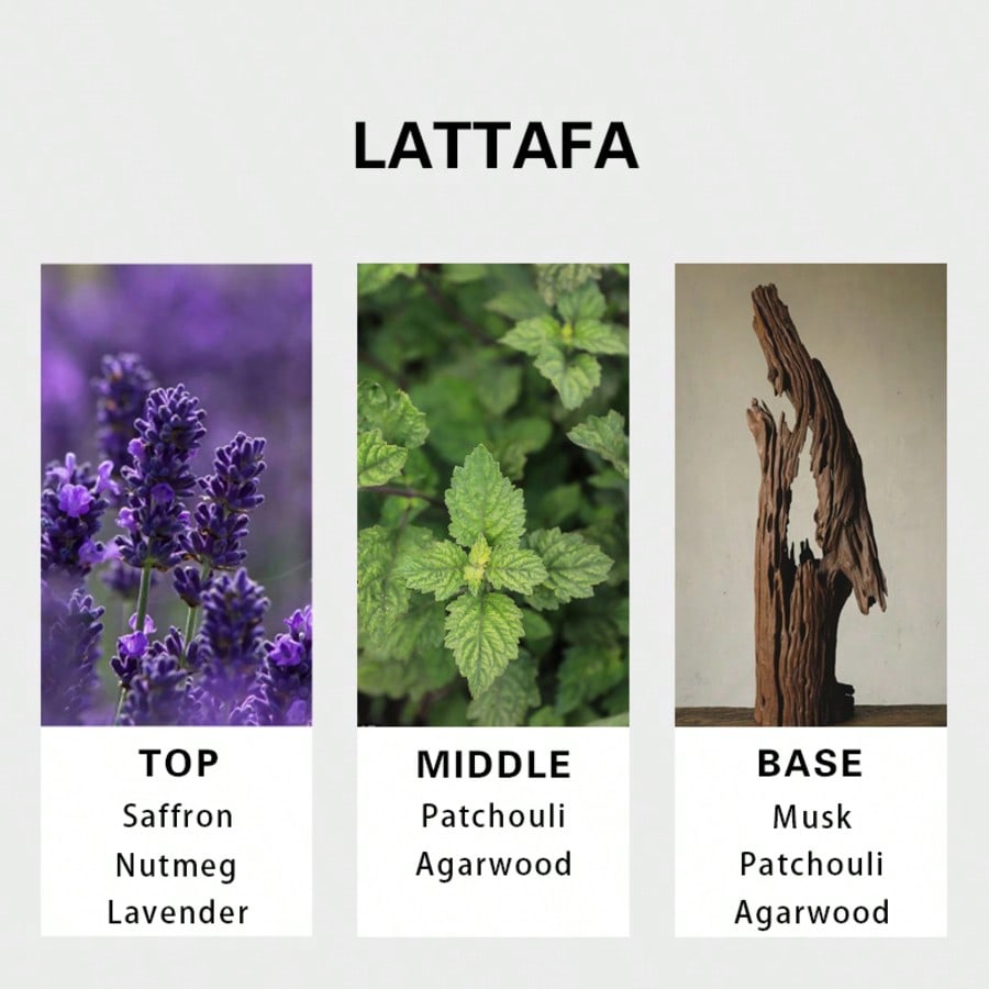 Lattafa Badee Al Oud For Glory - Perfume Fragrance Dupe review and price