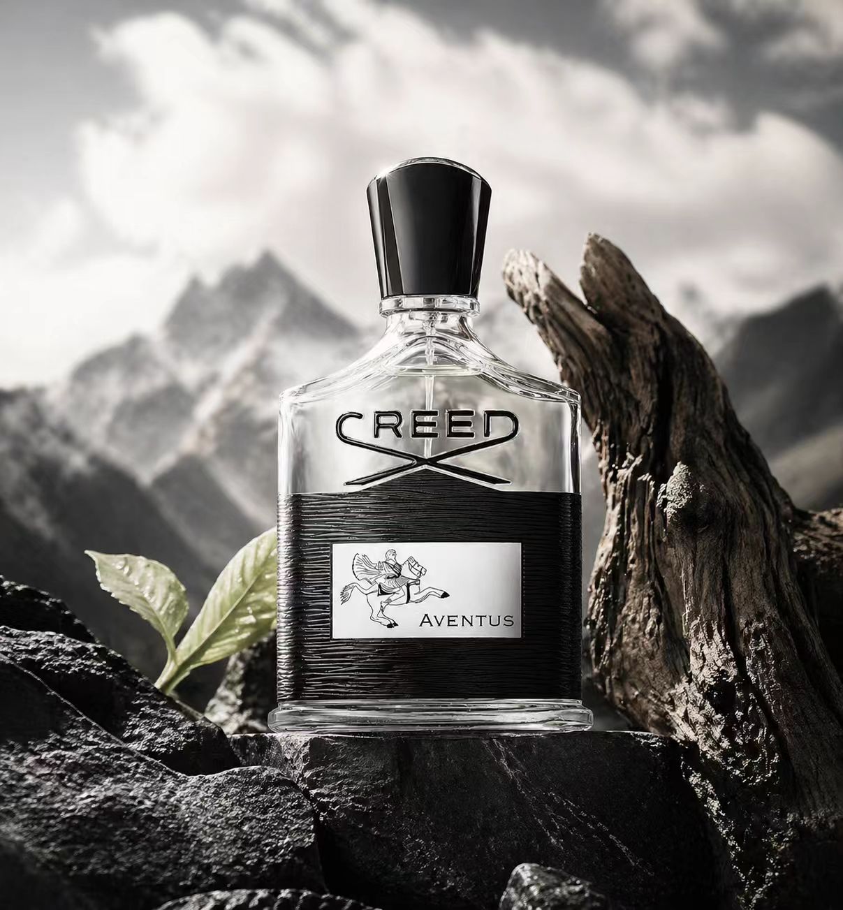 Creed Aventus: Audacious & Tim - Creed Aventus Dupe review and price