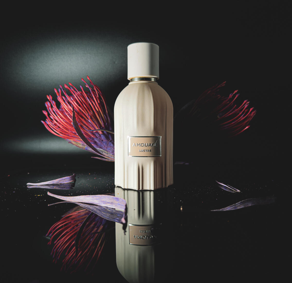 Amouage Lustre Perfume 100ml L - Perfume Fragrance Families review and price