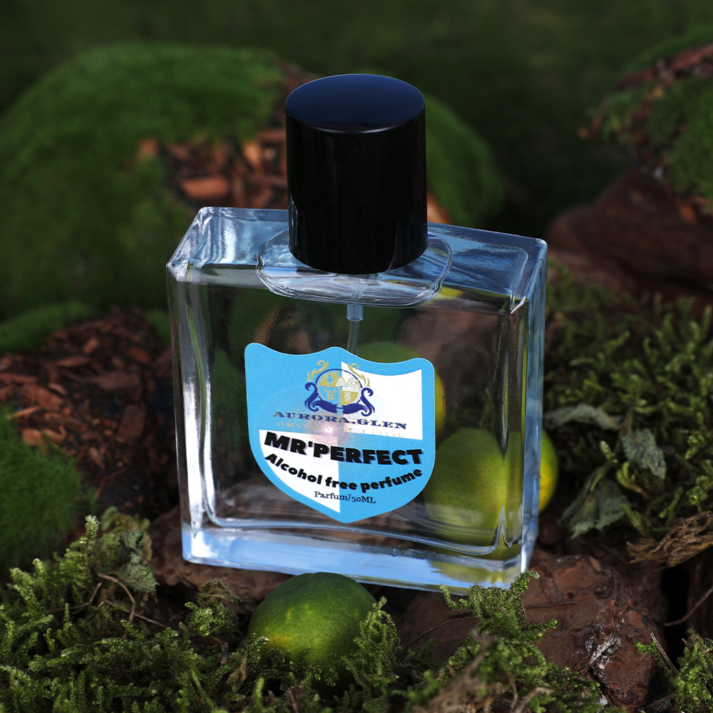 Blue men's perfume, lasting fr - Creed Aventus Dupe review and price