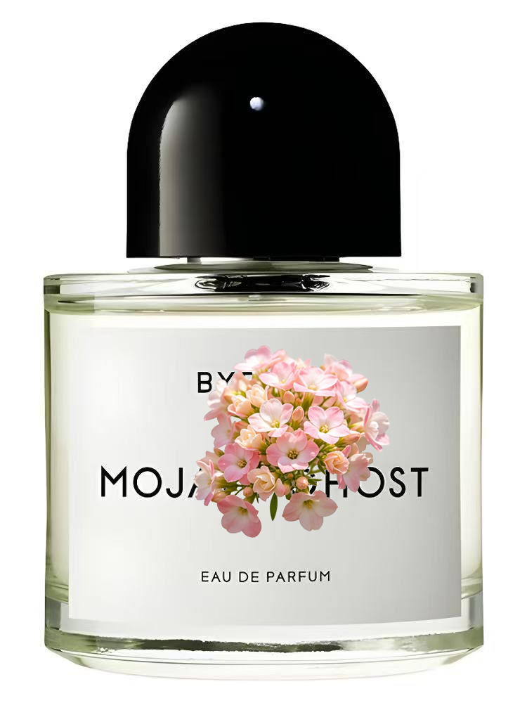 Unisex Eau de Parfum 100ml 3.4 - Perfume Floral Fragrance review and price