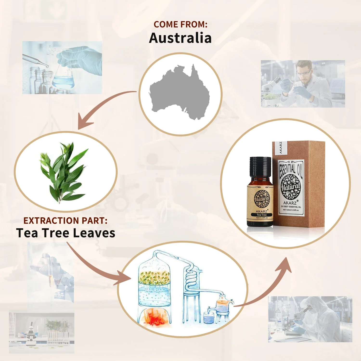 AKARZ Rosemary Essential Oil N - Perfume Fragrance Oils For Candles review and price